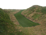 Walkway