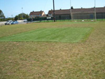 21 yard line repair