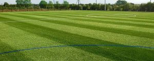 About Sportslawn