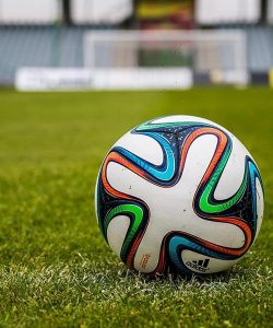 About Sportslawn Ireland