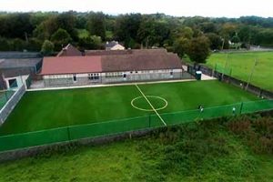 Toonagh National School, Clare