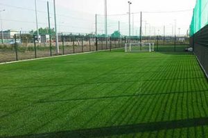 Soccer Pitch, ALSAA Sports Center, Dublin