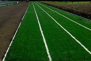 Running Track, Rathkeal, Limerick