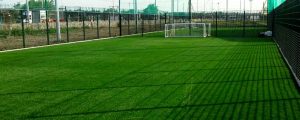 Sportslawn News