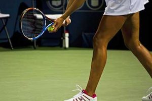 Synthetic Tennis Courts